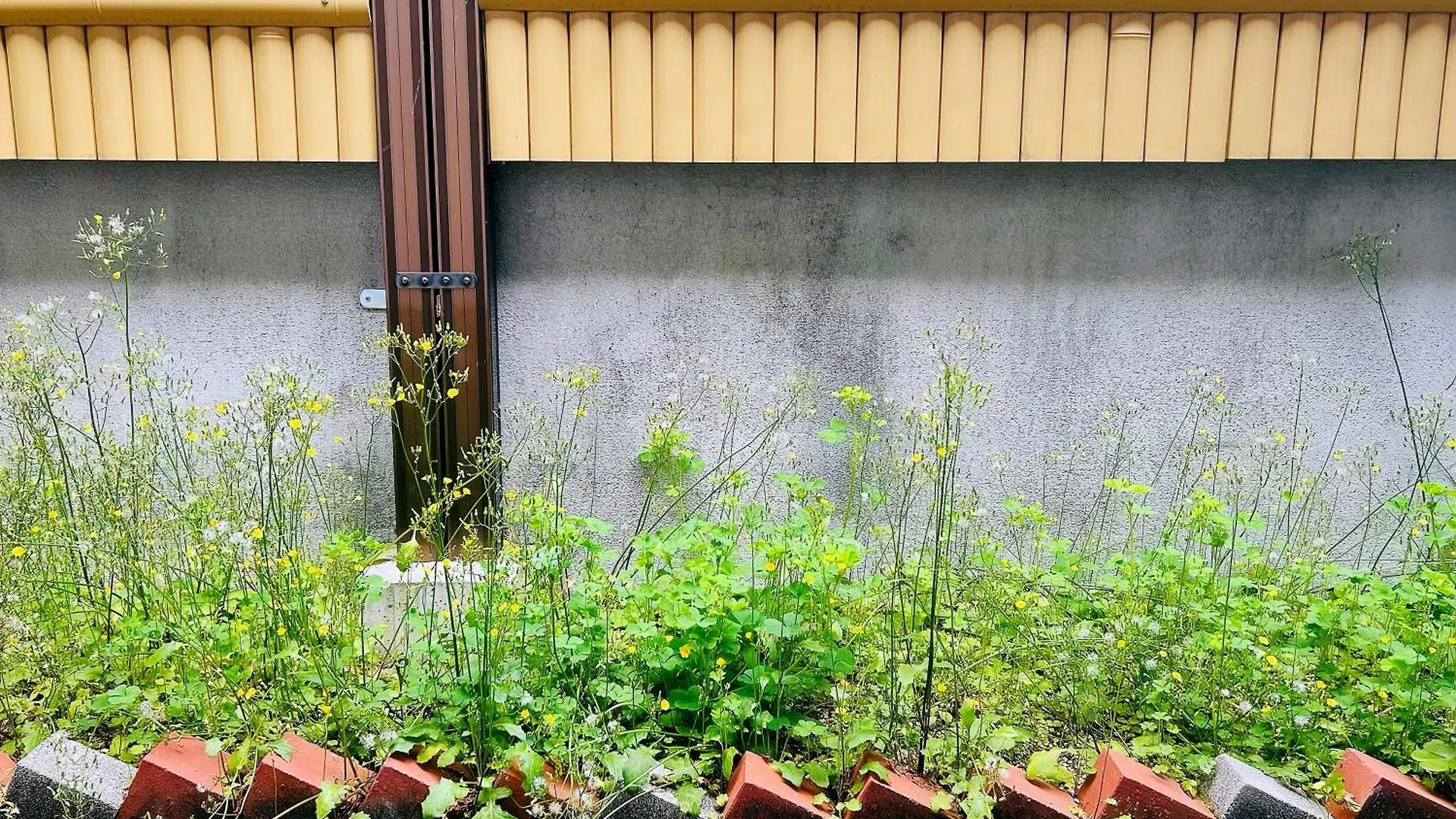 Villa Kokoro No Sato・Ume Kyōto